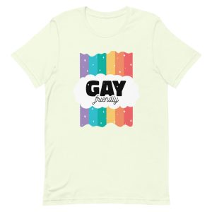 T-shirt Gay friendly arc en ciel T-shirt Gay friendly arc en ciel
