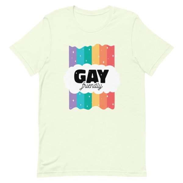 T-shirt Gay friendly arc en ciel