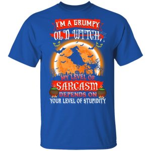 I'm A Grumpy Old Witch My Level Of Sarcasm Depends On Your Level Of Stupidity Halloween T Shirts 12