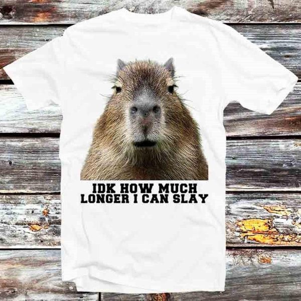 Idk How Much Longer I Can Slay Capybara Meme Funny T-shirt – Apparel, Mug, Home Decor – Perfect Gift For Everyone