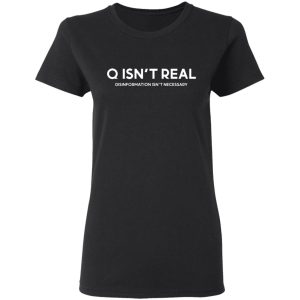 Q Isn't Real Disinformation Isn't Necessary T-Shirts, Hoodies, Sweatshirt 2 Q Isnt Real Disinformation Isnt Necessary T Shirts Hoodies Sweatshirt 11