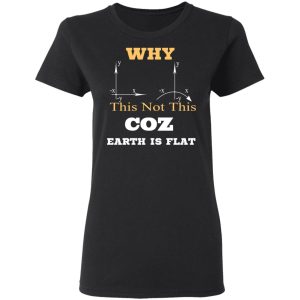 Why This Not This Coz Earth Is Flat T Shirts Hoodies Sweater 13