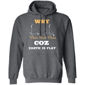 Why This Not This Coz Earth Is Flat T Shirts Hoodies Sweater 8