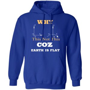 Why This Not This Coz Earth Is Flat T Shirts Hoodies Sweater 9
