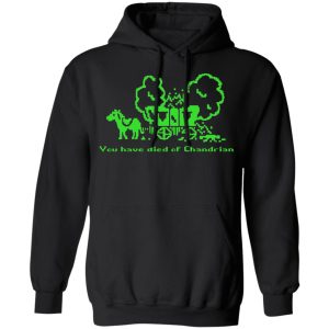 You Have Died Of Chandrian T-Shirts, Hoodies, Sweatshirt 9 You Have Died Of Chandrian T Shirts Hoodies Sweatshirt 6