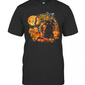 Black Cat Witch Pumpkin Witch Halloween T-Shirt