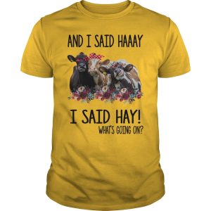 Cows and I said haaay i said hay what&rsquo;s going on shirt, hoodie