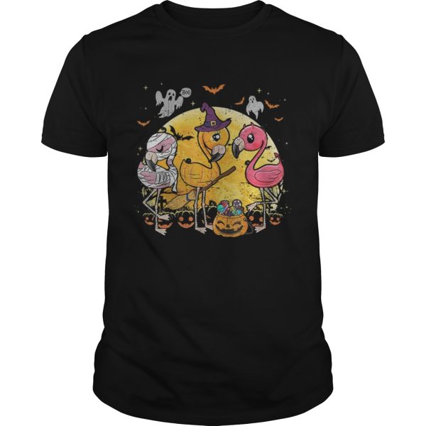 Flamingo Lover Pumpkin Flamingo Halloween T-Shirt