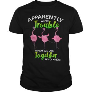 Flamingo apparently trouble when we are together who knew shirt
