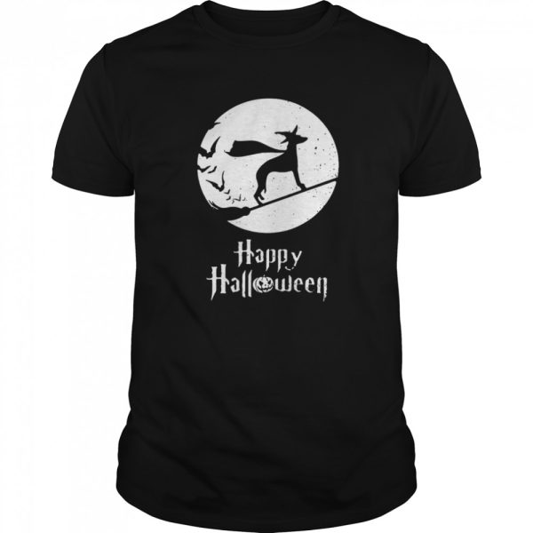 Halloween Witch Whippet Dog Lover shirt