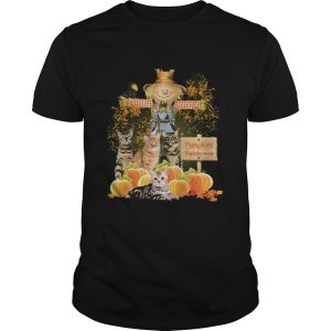 Halloween cats figurehead pumpkins patch shirt