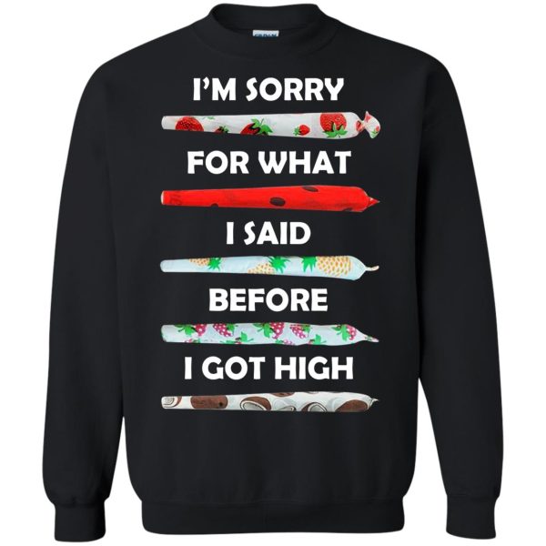 I’m sorry for what I said before I got high shirt, hoodie, long sleeve