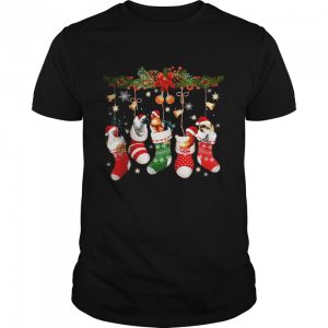 Chickens In Christmas Sock Santa Hat Xmas Chicken Lover T-Shirt Chickens In Christmas Sock Santa Hat Xmas Chicken Lover T-Shirt
