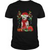Christmas Santa And Lights Dog Dalmatian Xmas Shirt
