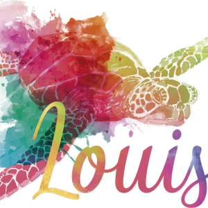 T-shirt personnalisable et tortues colorees