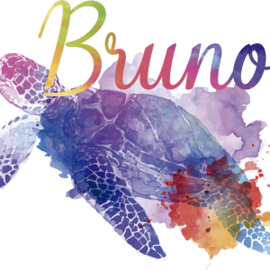 T shirt personnalisable et tortues colores 3