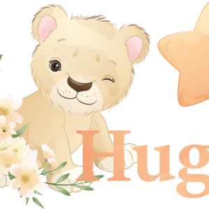 Tee shirt bebe Lion mignon pour garcon avec nom