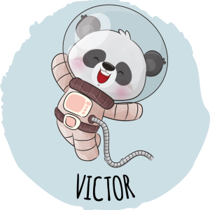 Tee shirt bebe Panda mignon pour garcon avec nom Tee shirt bebe Panda mignon pour garcon avec nom