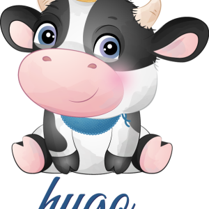 Tee shirt bebe Vache mignonne pour garcon avec nom