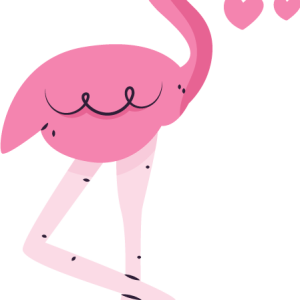 Tee shirt couple Flamants roses amoureux