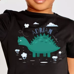 Tee shirt enfant Dinosaure nom personnalise Tee shirt enfant Dinosaure nom personnalise