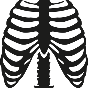 Tee shirt halloween Squelette de cotes Tee shirt halloween Squelette de cotes