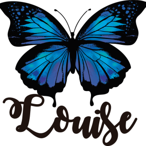 tee shirt papillon Papillon beau et colore 1 tee shirt papillon Papillon beau et color 2