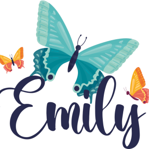 tee shirt papillon Papillons bicolores