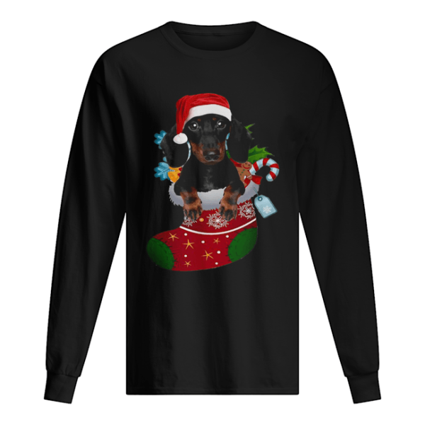 Dachshund in sock Christmas shirt