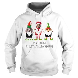 Elf im not short im just a tall dachshunds Christmas shirt Elf im not short im just a tall dachshunds Christmas shirt