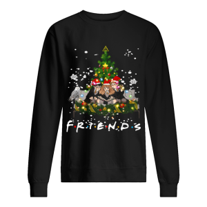 Friends Harry Potter Hermione Ron Christmas shirt Friends Harry Potter Hermione Ron Christmas shirt