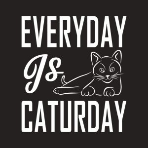 Everyday is Caturday – T-shirt