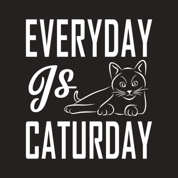 Everyday is Caturday – T-shirt