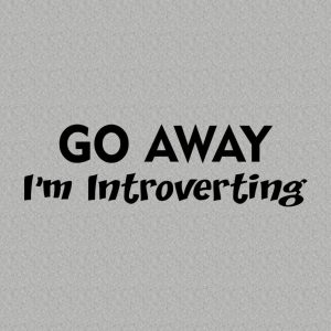 Go Away! Im introverting T shirt 2
