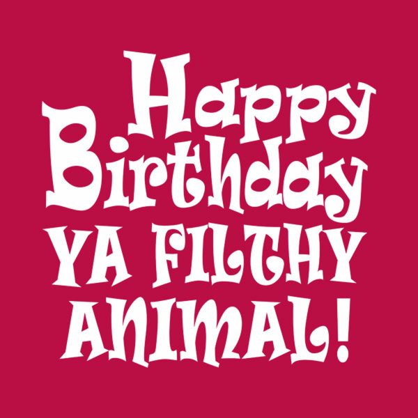 Happy birthday you filthy animal – T-shirt