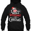 I Want A Hippopotamus For Christmas Xmas Hippo Hoodie Shirt