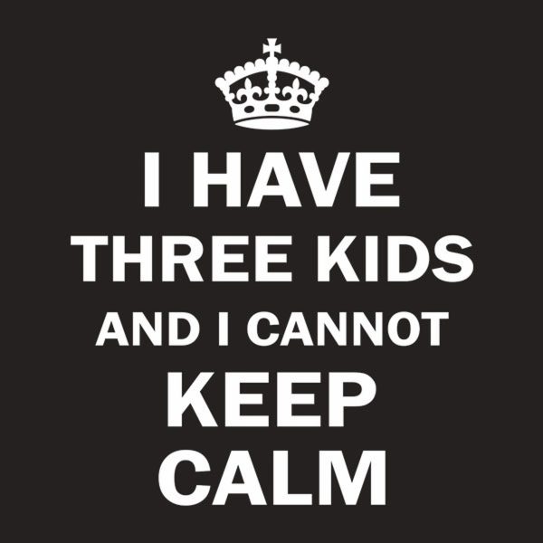 I have 3 kids and I cannot keep calm – T-shirt