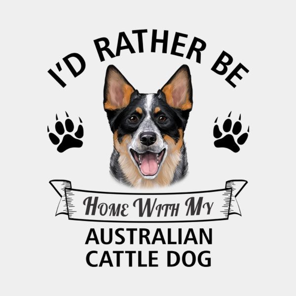 I’d rather stay home with my Australian Cattle Dog – T-shirt