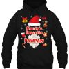 Santa’s Favorite Pawpaw Christmas Santa Claus Ugly Sweater Hoodie