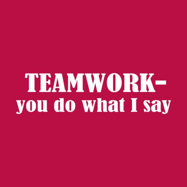 Teamwork – you do what I say – T-shirt