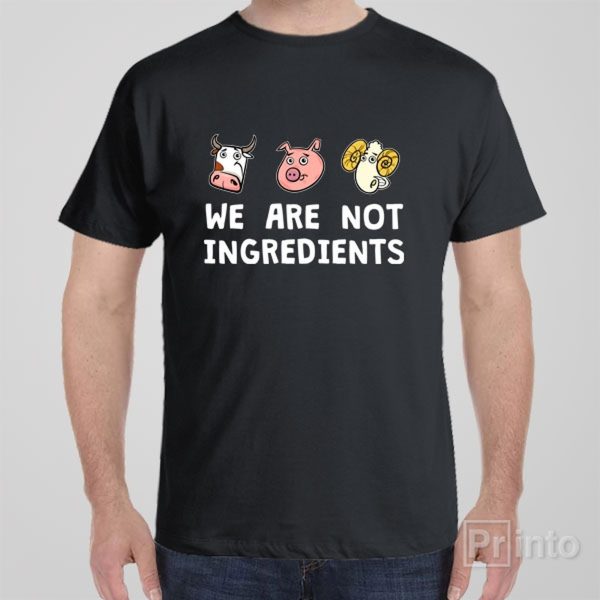 We are not ingredients – T-shirt