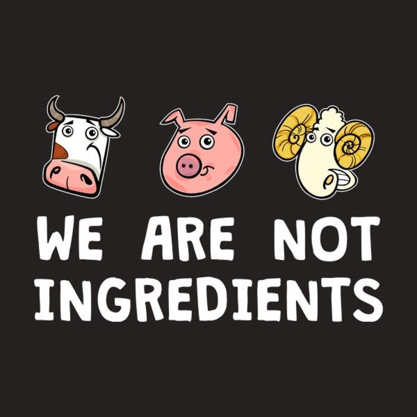 We are not ingredients – T-shirt