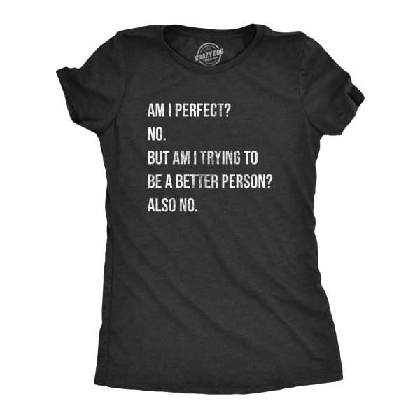 Womens Am I Perfect No T Shirt Funny Sarcastic Self Improvement Joke Novelty Tee For Ladies