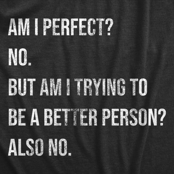 Womens Am I Perfect No T Shirt Funny Sarcastic Self Improvement Joke Novelty Tee For Ladies