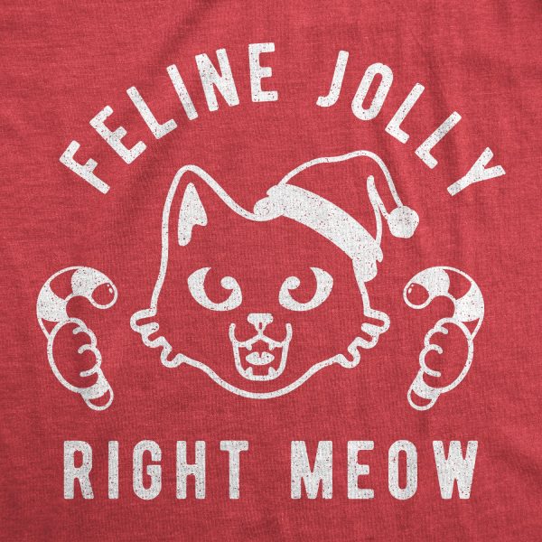 Womens Feline Jolly Right Meow Tshirt Funny Christmas Cat Kitten Lover Graphic Tee