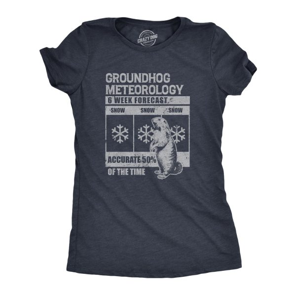 Womens Groundhog Meteorology T Shirt Funny Groundhogs Day Winter Weather Forecast Joke Tee For Ladies