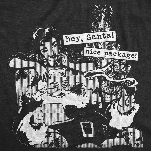 Womens Hey Santa Nice Package Tshirt Funny Christmas Tee
