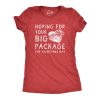 Womens Hoping For Your Big Package For Valinetines Day T Shirt Funny Sex Joke Tee For Ladies
