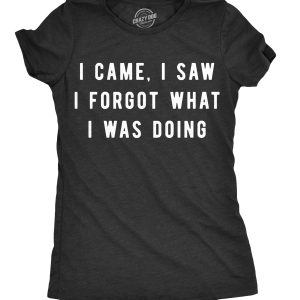 Womens I Came I Saw I Forgot What I Was Doing Tshirt Funny Sarcastic Tee For Ladies