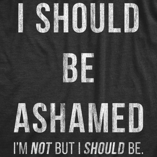 Womens I Should Be Ashamed Tshirt Funny Sarcastic Shame Novelty Graphic Tee For Ladies